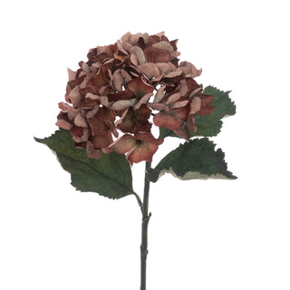 Eco Hydrangea Stem Brown