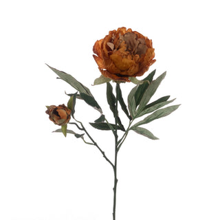 Eco Peony Spray Gold