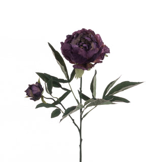 Eco Peony Stem Plum