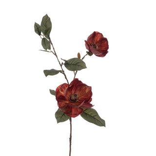 Eco Magnolia Spray Rust