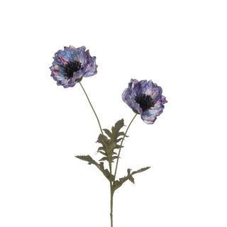 Eco Poppy Spray Blue