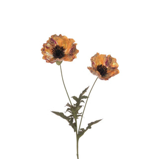 Eco Poppy Spray Gold