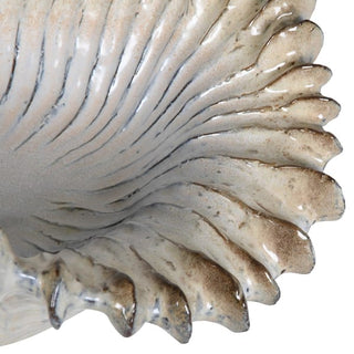 Sunray Shell Bowl