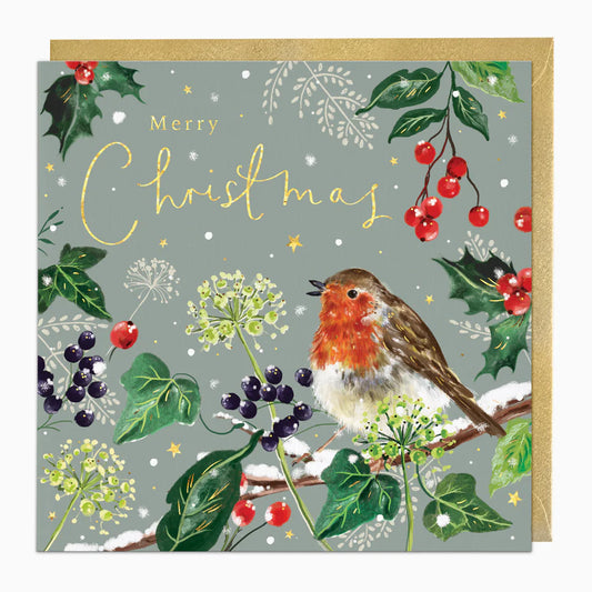 Robin Among the Berries Christmas Card