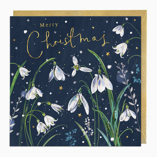 Midnight Snowdrops Christmas Card