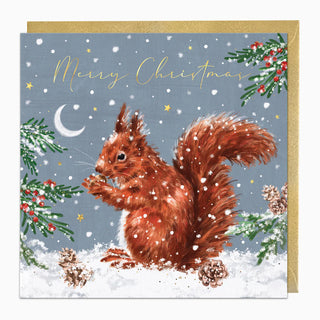Squirrel In The Snow Christmas Card