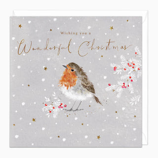 Robin & Berries Christmas Card