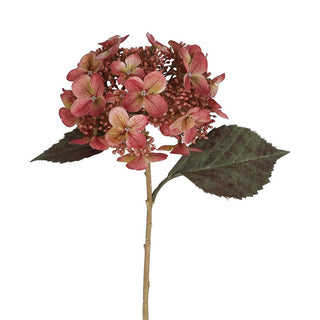 Dusky Pink Lacecap Hydrangea Stem 52cm