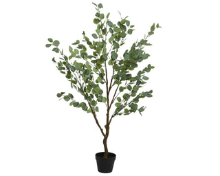Potted Eucalyptus Plant 150cm