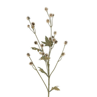 Green/Cream Mini Echinops Spray 68cm