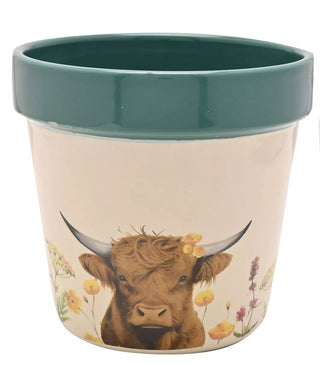 Country Living Large Planter Highland Cow
