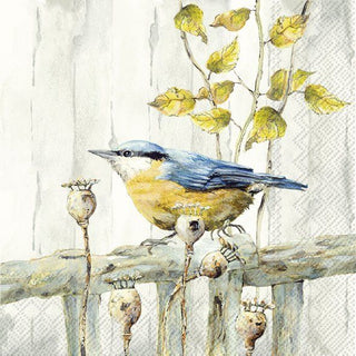 Kantori Blue Tit Cream Lunch Napkins