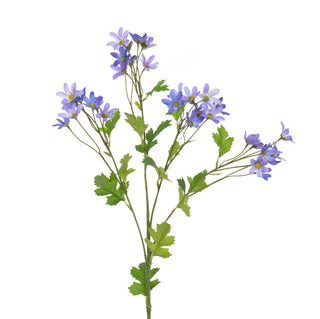 Blue Aster Daisy Spray
