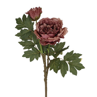Dusky Mauve Peony with Bud Stem 70cm