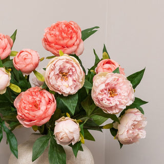 Coral & Blush Peonies in Ceramic Vase