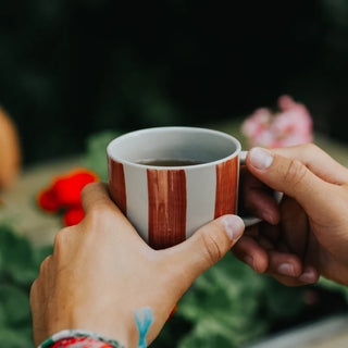 Cornflower Mug Brushed Berry Red Medium Set of 2