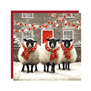 We Three Sheep Christmas Cards 6pk