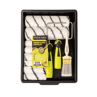 Paragon 12 Piece Painting Set