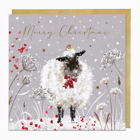 Sheep In The Snow Christmas Card