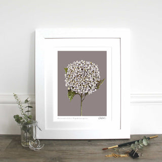 Annabelle Mounted Fine Art Print