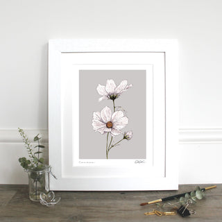 Cosmos Mounted Fine Art Print