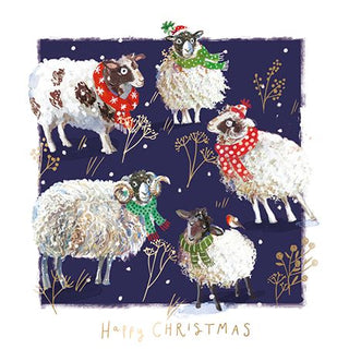 Winter Woolies Christmas Card, Box of 10 Cards