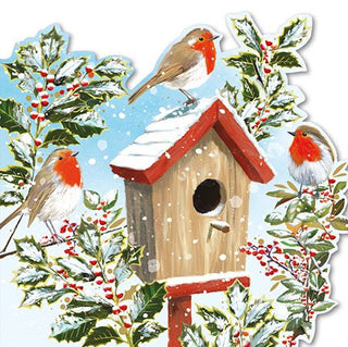 Robins And Birdbox Christmas Card