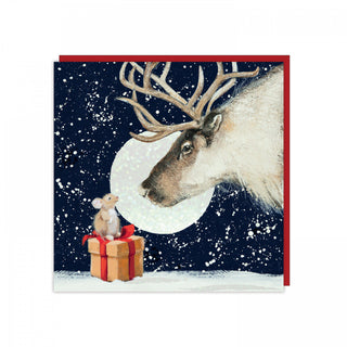 Christmas Wonder Christmas Cards, 6 Pack